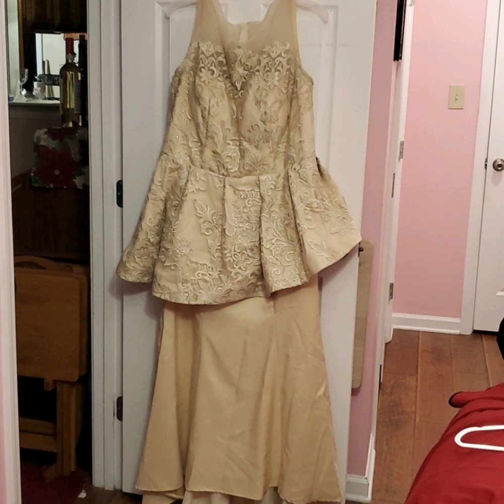 Mother of the bride dress